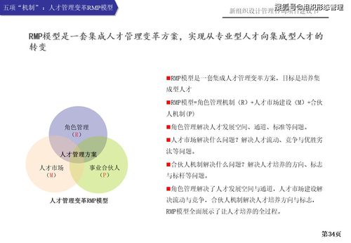 新組織設(shè)計(jì)管理咨詢項(xiàng)目建議書